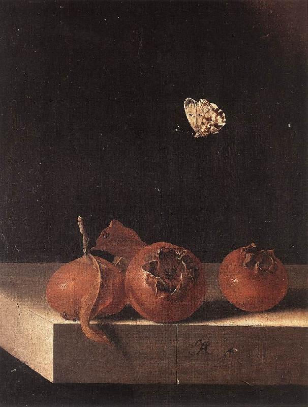 COORTE, Adriaen Three Medlars with a Butterfly zsdgf